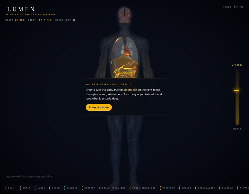 LUMEN: an atlas of the living interior